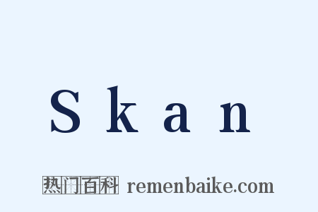 Skan是什么意思的图片